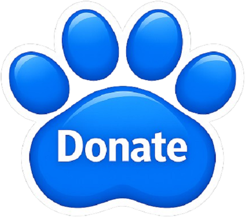Every.org