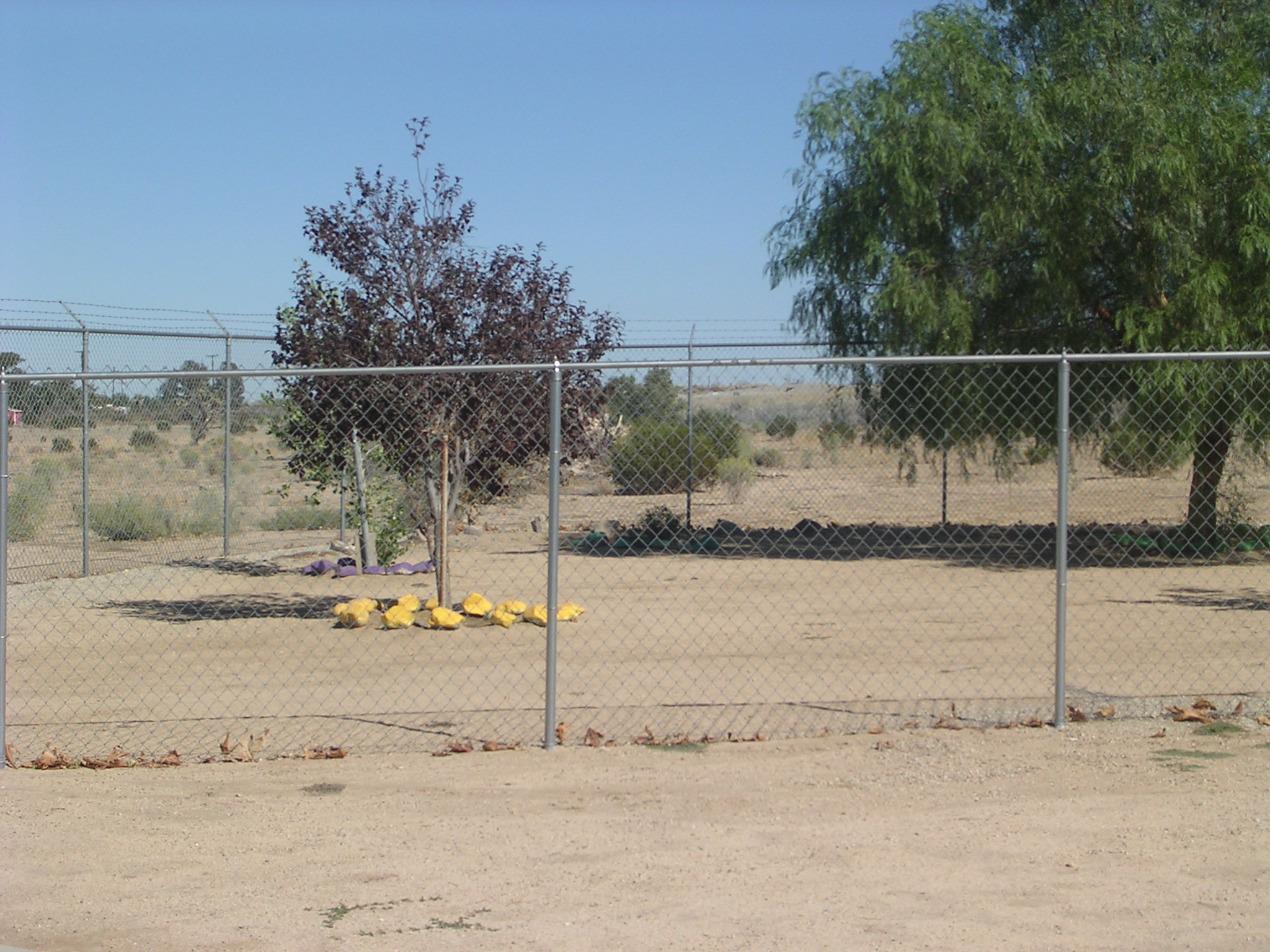 Doggie Exercise Yard