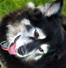 Maggie