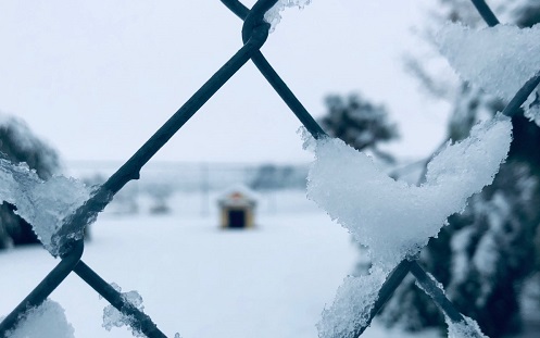 dog house in the snow